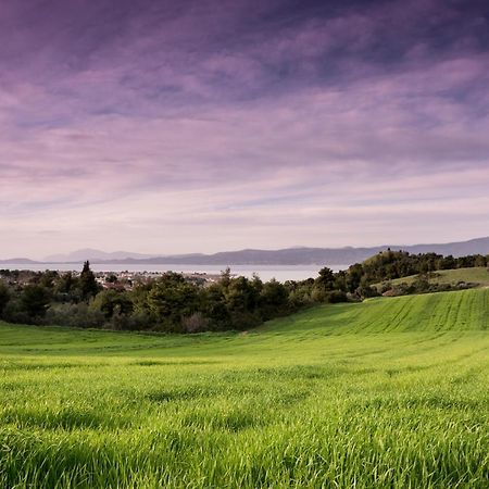 Topalidi'S Home Nea Palatia Buitenkant foto