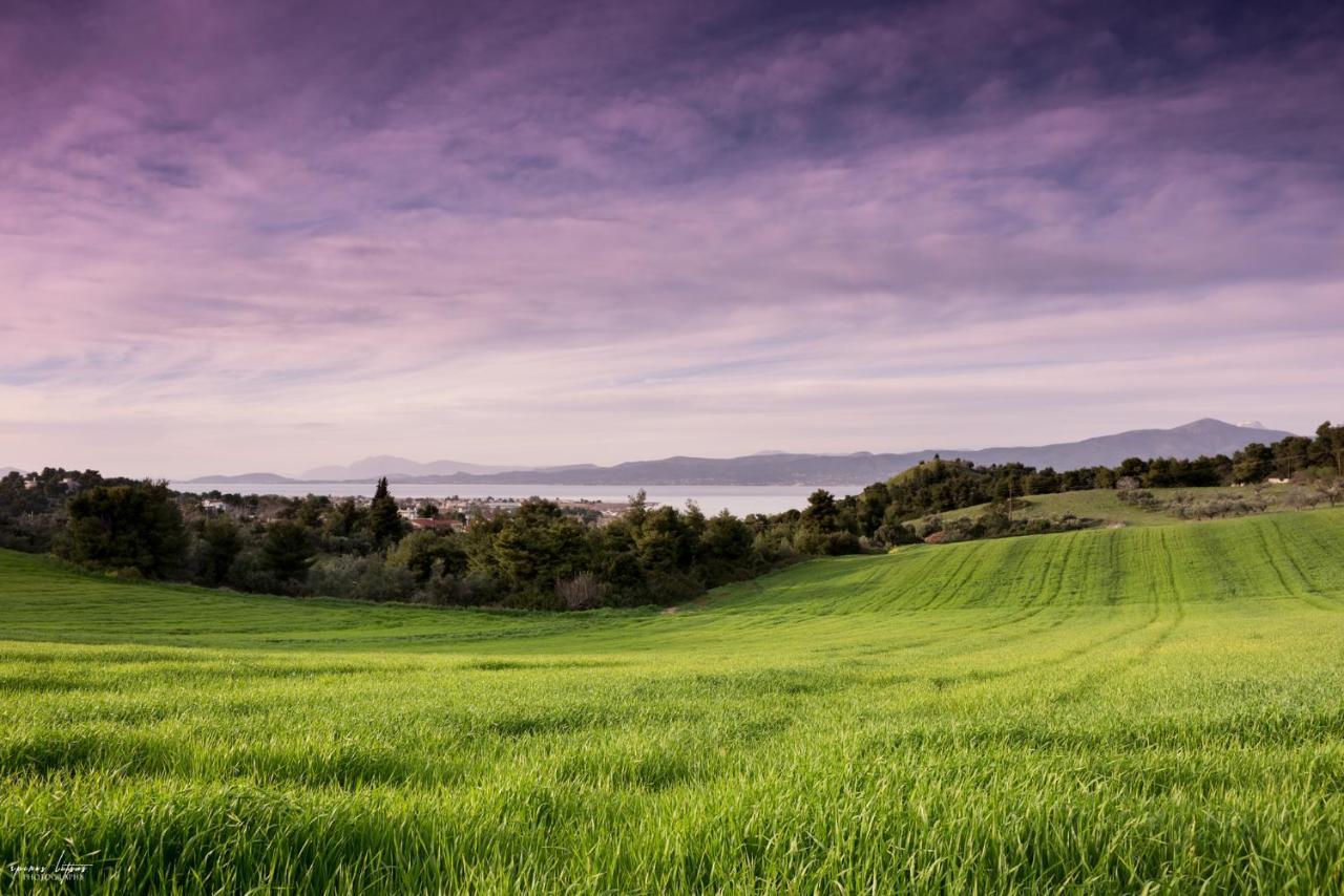Topalidi'S Home Nea Palatia Buitenkant foto